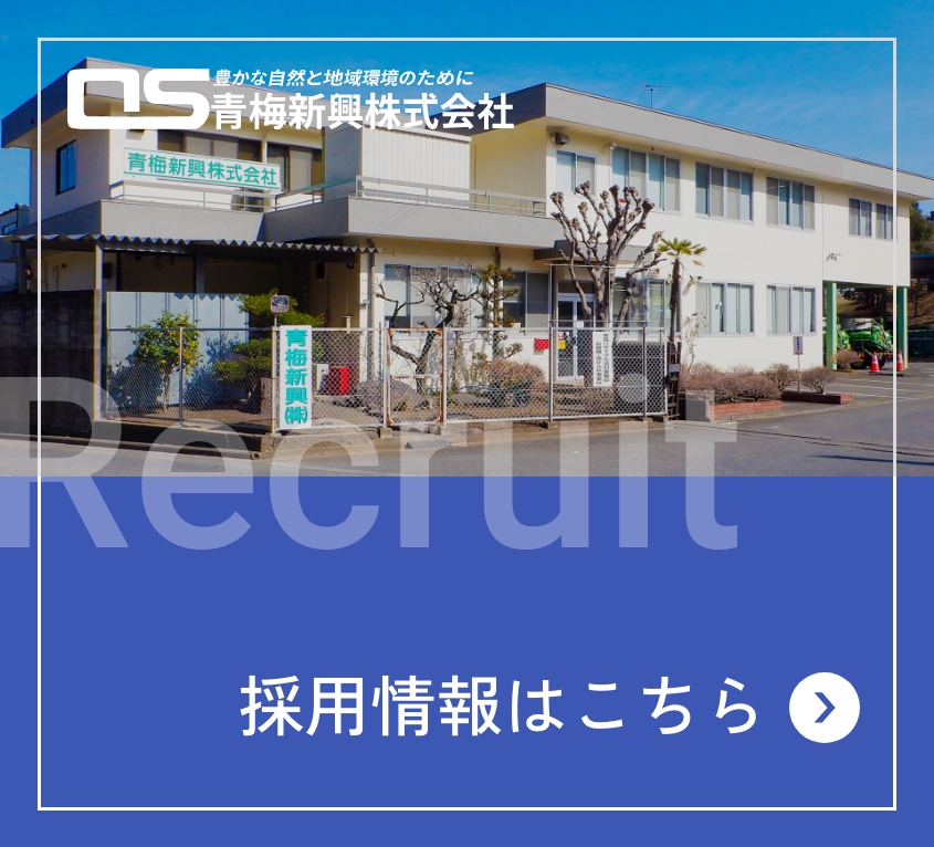 採用情報